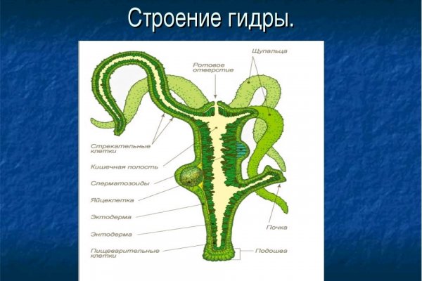 Как пополнить баланс кракен