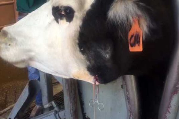 Кракен рабочий сайт